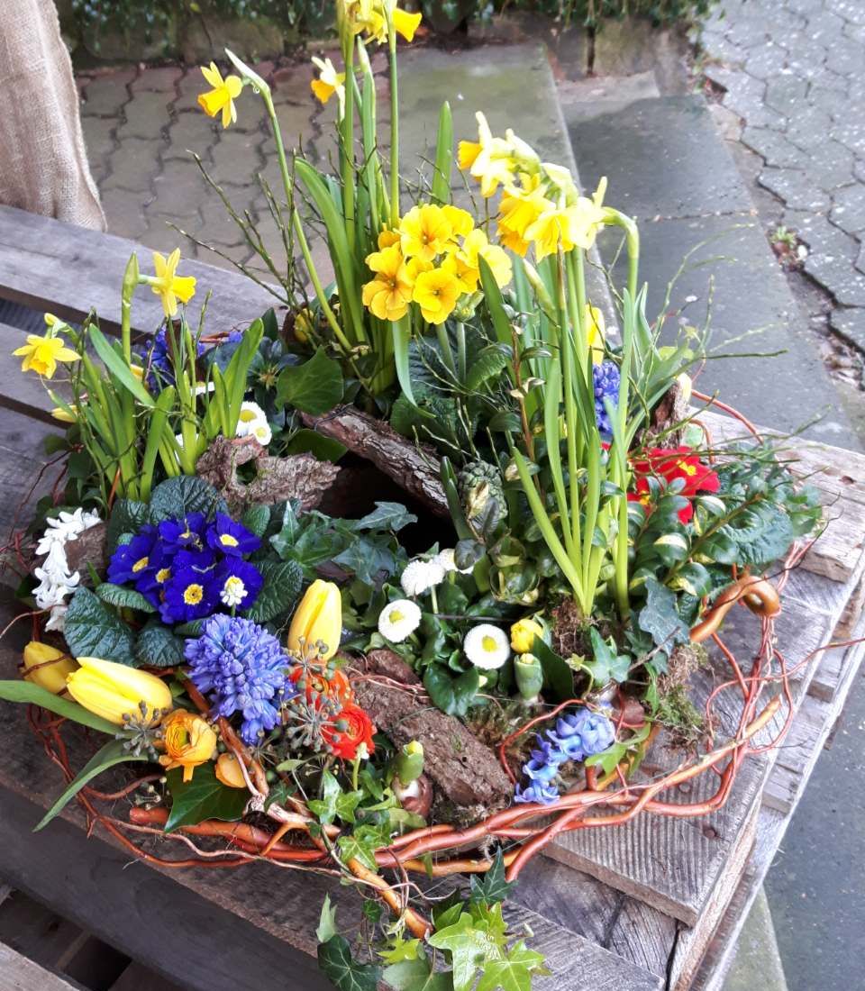 Blumenstrauß BLUMEN WOHLERS