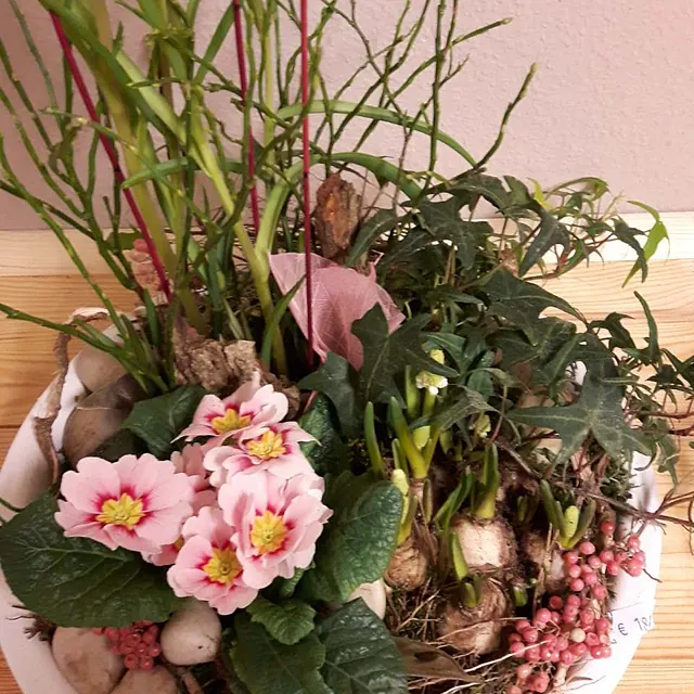 Blumenstrauß BLUMEN WOHLERS