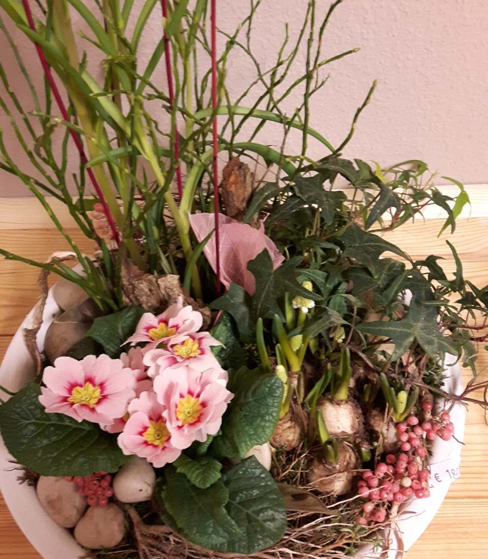 Blumenstrauß BLUMEN WOHLERS